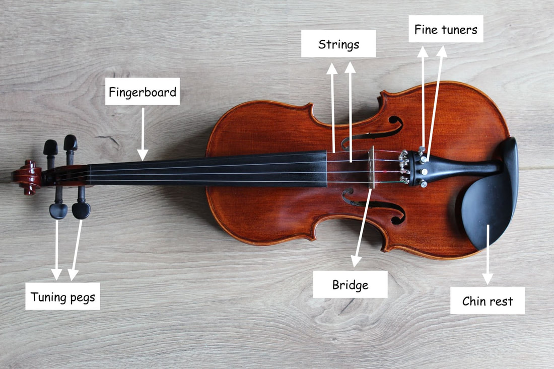 What is a Violin?